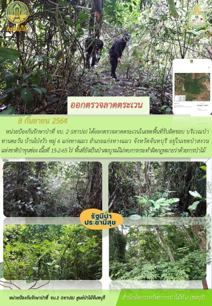 วันที่ 8 กันยายน 2564 หน่วยป้องกันรักษาป่าที่ จบ.2 (เขาปอ) ได้ออกตรวจลาดตระเวนในเขตพื้นที่รับผิดชอบ บริเวณป่าทานตะวัน บ้านโป่งวัว หมู่ที่ 6 ตำบลแก่งหางแมว อำเภอแก่งหางแมว จังหวัดจันทบุรี อยู่ในเขตป่าสงวนแห่งชาติป่าขุนซ่อง เนื้อที่ 15-2-65 ไร่ พื้นที่ยังคงสภาพเป็นป่าสมบูรณ์ ไม่พบการกระทำความผิดตามกฎหมายว่าด้วยการป่าไม้