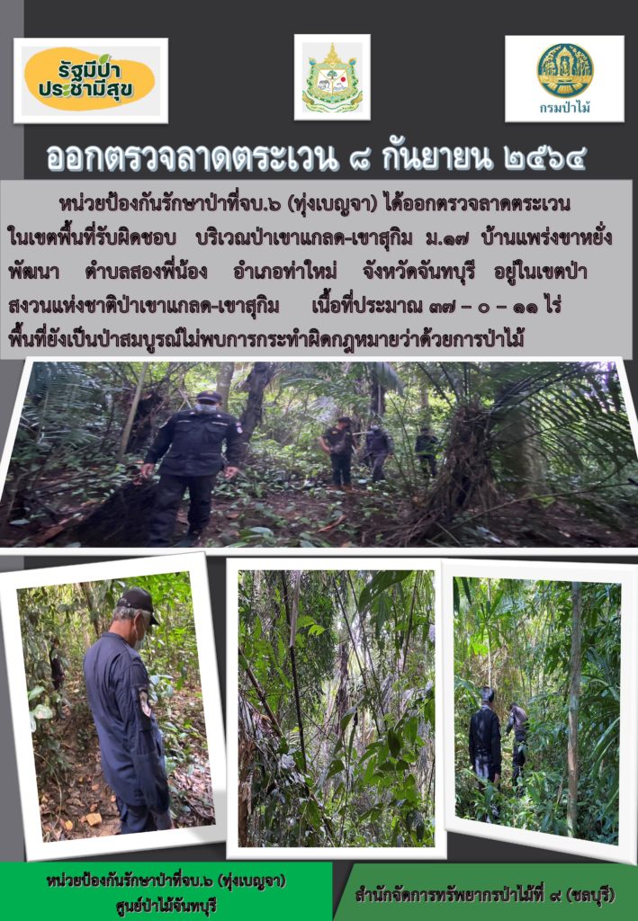 วันที่ 8 กันยายน 2564 หน่วยป้องกันรักษาป่าที่ จบ.6 (ทุ่งเบญจา) ได้ออกตรวจลาดตระเวนในเขตพื้นที่รับผิดชอบ บริเวณป่าเขาแกลด-เขาสุกิม หมู่ที่ 17 บ้านแพร่งขาหยุ่งพัมนา ตำบลสองพี่น้อง อำเภอท่าใหม่ จังหวัดจันทบุรี อยู่ในเขตป่าสงวนแห่งชาติป่าเขาแกลด-เขาสุกิม เนื้อที่ 37-0-11 ไร่ พื้นที่ยังคงสภาพเป็นป่าสมบูรณ์ ไม่พบการกระทำความผิดตามกฎหมายว่าด้วยการป่าไม้