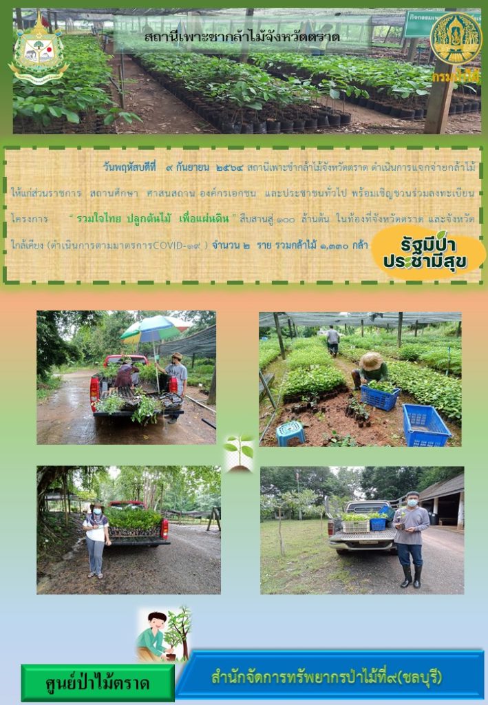 วันที่ 9 กันยายน 2564 สถานีเพาะชำกล้าไม้จังหวัดตราด ดำเนินการแจกจ่ายกล้าไม้ให้แก่ส่วนราชการ สถานศึกษา ศาสนสถาน องค์กรเอกชน และประชาชนทั่วไป พร้อมเชิญชวนร่วมลงทะเบียนโครงการ "รวมใจไทย ปลูกต้นไม้เพื่อแผ่นดิน" สืบสานสู่ 100 ล้านต้น ในท้องที่จังหวัดตราด และจังหวัดใกล้เคียง จำนวน 2 ราย รวมกล้าไม้ 1,330 กล้า