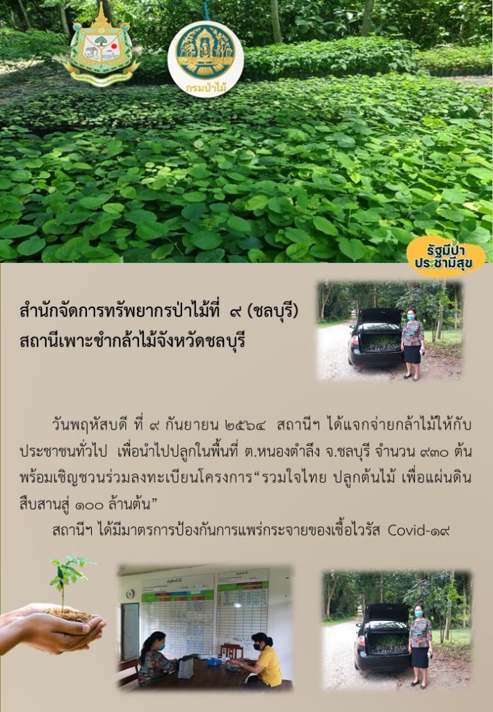 วันที่ 9 กันยายน 2564 สถานีเพาะชำกล้าไม้จังหวัดชลบุรี ได้แจกกล้าไม้ให้กับประชาชนทั่วไป เพื่อนำไปปลูกในพื้นที่ ตำบลหนองตำลึง จังหวัดชลบุรี จำนวน 930 ต้น พร้อมทั้งได้เชิญชวนให้ลงทะเบียนโครงการ "รวมใจไทย ปลูกต้นไม้ เพื่อแผ่นดิน" สืบสานสู่ 100 ล้านต้น