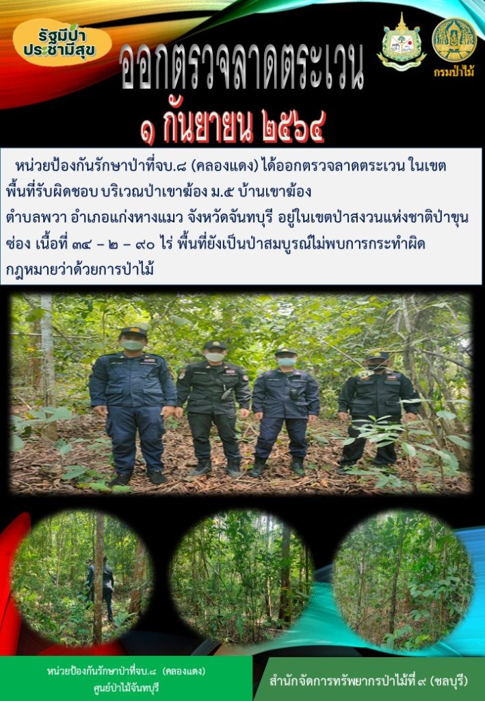 วันที่ 1 กันยายน 2564 หน่วยป้องกันรักษาป่าที่ จบ.8 (คลองแดง) ได้ออกตรวจลาดตระเวนในเขตพื้นที่รับผิดชอบ บริเวณป่าเขาฆ้อง หมู่ที่ 5 บ้านเขาฆ้อง ตำบลพวา อำเภอแก่งหางแมว จังหวัดจันทบุรี อยู่ในเขตป่าสงวนแห่งชาติป่าขุนซ่อง เนื้อที่ 34-2-90 ไร่ พื้นที่ยังเป็นป่าสมบูรณ์ ไม่พบการกระทำความผิดตามกฎหมายว่าด้วยการป่าไม้