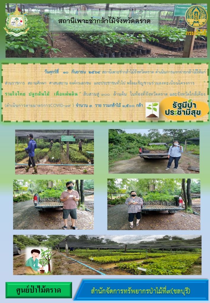 วันที่ 10 กันยายน 2564 สถานีเพาะชำกล้าไม้จังหวัดตราด ดำเนินการแจกจ่ายกล้าไม้ให้แก่ส่วนราชการ สถานศึกษา ศาสนสถาน องค์กรเอกชน และประชาชนทั่วไป พร้อมเชิญชวนร่วมลงทะเบียนโครงการ "รวมใจไทย ปลูกต้นไม้เพื่อแผ่นดิน" สืบสานสู่ 100 ล้านต้น ในท้องที่จังหวัดตราด และจังหวัดใกล้เคียง จำนวน 3 ราย รวมกล้าไม้ 1,500 กล้า