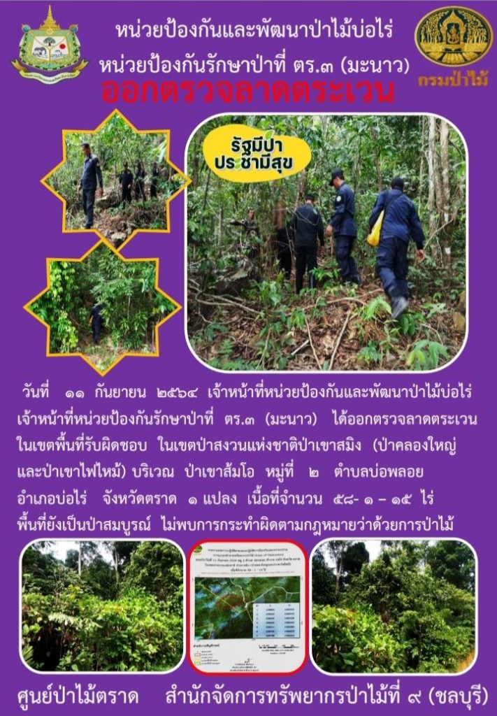 วันที่ 11 กันยายน 2564 เจ้าหน้าที่หน่วยป้องกันและพัฒนาป่าไม้บ่อไร่ เจ้าหน้าที่หน่วยป้องกันรักษาป่าที่ ตร.3 (มะนาว) ได้ออกตรวจลาดตระเวนในเขตพื้นที่รับผิดชอบ ในเขตป่าสงวนแห่งชาติป่าเขาสมิง (ป่าคลองใหญ่และป่าเขาไฟไหม้) บริเวณป่าเขาส้มโอ หมู่ที่ 2 ตำบลบ่อพลอย อำเภอบ่อไร่ จังหวัดตราด จำนวน 1 แปลง เนื้อที่ 58-1-15 ไร่ พื้นที่ยังคงสภาพเป็นป่าสมบูรณ์ ไม่พบการกระทำความผิดตามกฎหมายว่าด้วยการป่าไม้