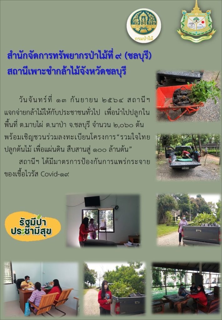 วันที่ 13 กันยายน 2564 สถานีเพาะชำกล้าไม้จังหวัดชลบุรี ได้แจกกล้าไม้ให้กับประชาชนทั่วไป เพื่อนำไปปลูกในพื้นที่ ตำบลมาบไผ่ จังหวัดชลบุรี จำนวน 2,060 ต้น พร้อมทั้งได้เชิญชวนให้ลงทะเบียนโครงการ "รวมใจไทย ปลูกต้นไม้ เพื่อแผ่นดิน" สืบสานสู่ 100 ล้านต้น