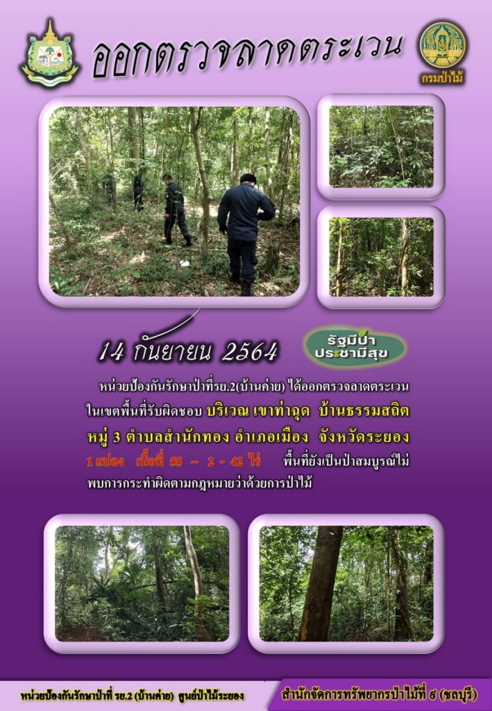 วันที่ 14 กันยายน 2564 หน่วยป้องกันรักษาป่าที่ รย.2 (บ้านค่าย) ได้ออกตรวจลาดตระเวนในเขตพื้นที่รับผิดชอบ บริเวณเขาท่าฉุด บ้านธรรมสถิต หมู่ที่ 3 ตำบลสำนักทอง อำเภอเมือง จังหวัดระยอง จำนวน 1 แปลง เนื้อที่ 55-2-42 ไร่ พื้นที่ยังคงสภาพเป็นป่าสมบูรณ์ ไม่พบการกระทำความผิดตามกฎหมายว่าด้วยการป่าไม้