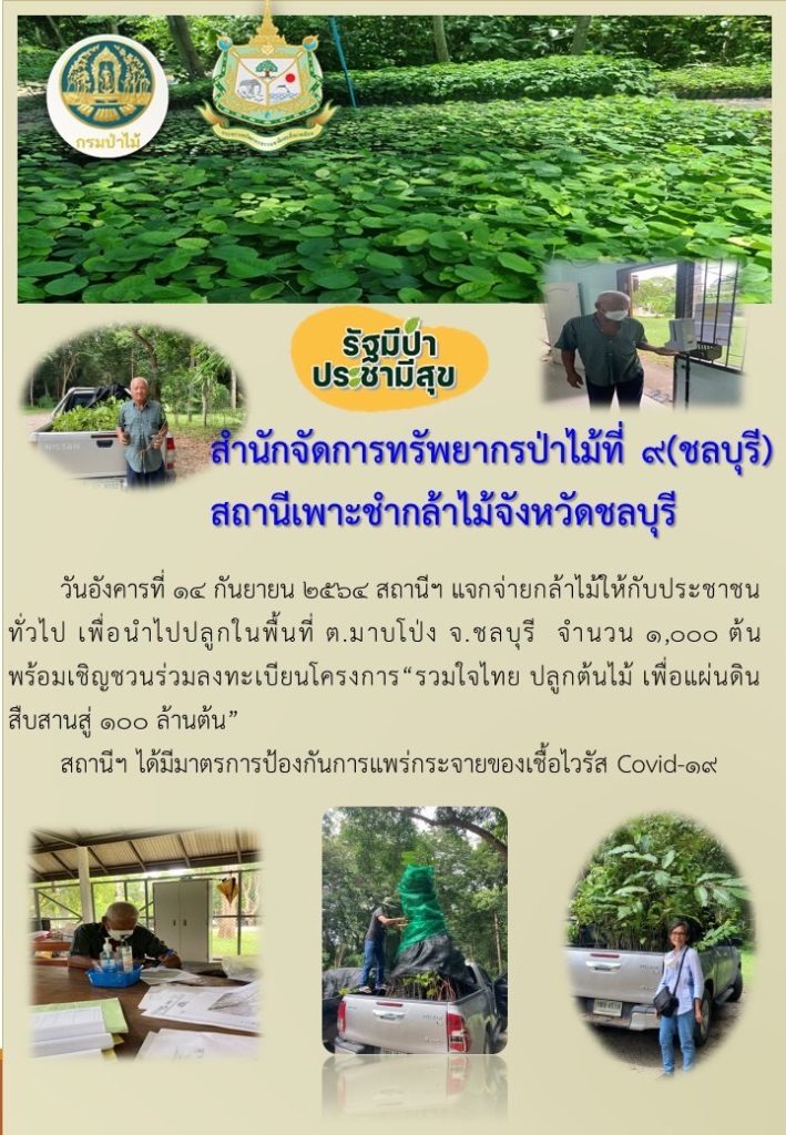 วันที่ 14 กันยายน 2564 สถานีเพาะชำกล้าไม้จังหวัดชลบุรี ได้แจกกล้าไม้ให้กับประชาชนทั่วไป เพื่อนำไปปลูกในพื้นที่ ตำบลมาบโป่ง จังหวัดชลบุรี จำนวน 1,000 ต้น พร้อมทั้งได้เชิญชวนให้ลงทะเบียนโครงการ "รวมใจไทย ปลูกต้นไม้ เพื่อแผ่นดิน" สืบสานสู่ 100 ล้านต้น