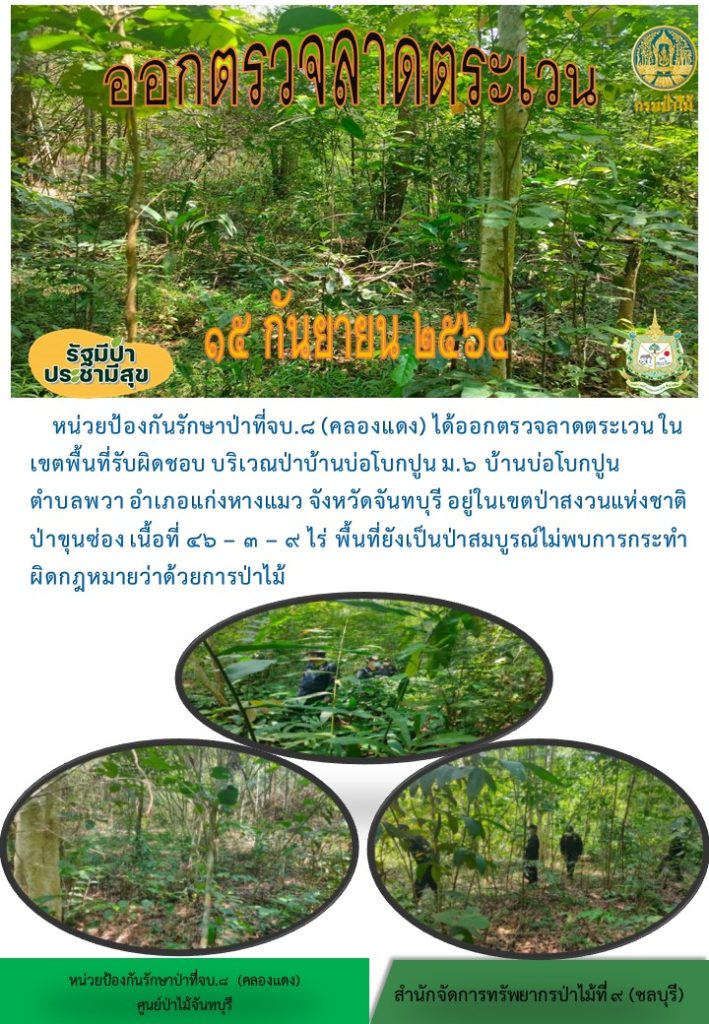 วันที่ 15 กันยายน 2564 หน่วยป้องกันรักษาป่าที่ จบ.8 (คลองแดง) ได้ออกตรวจลาดตระเวนในเขตพื้นที่รับผิดชอบ บริเวณป่าบ้านบ่อโบกปูน หมู่ที่ 6 บ้านบ่อโบกปูน ตำบลพวา อำเภอแก่งหางแมว จังหวัดจันทบุรี อยู่ในเขตป่าสงวนแห่งชาติป่าขุนซ่อง เนื้อที่ 46-3-9 ไร่ พื้นที่ยังคงสภาพเป็นป่าสมบูรณ์ ไม่พบการกระทำความผิดตามกฎหมายว่าด้วยการป่าไม้