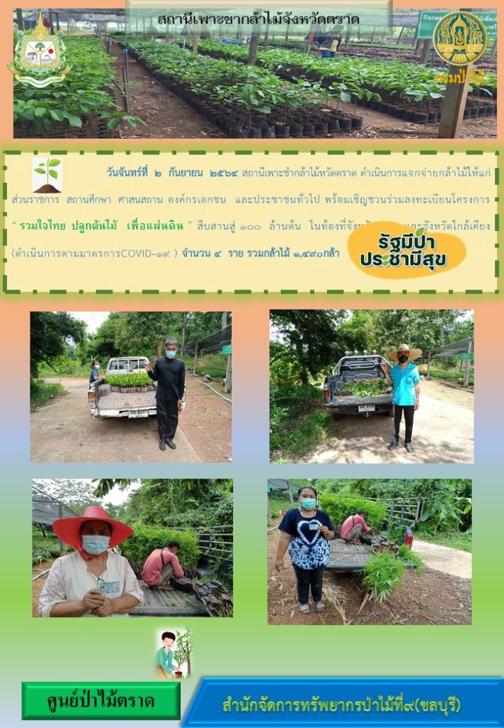 วันที่ 2 กันยายน 2564 สถานีเพาะชำกล้าไม้จังหวัดตราด ดำเนินการแจกจ่ายกล้าไม้ให้แก่ส่วนราชการ สถานศึกษา ศาสนสถาน องค์กรเอกชน และประชาชนทั่วไป พร้อมเชิญชวนร่วมลงทะเบียนโครงการ "รวมใจไทย ปลูกต้นไม้เพื่อแผ่นดิน" สืบสานสู่ 100 ล้านต้น ในท้องที่จังหวัดตราด และจังหวัดใกล้เคียง จำนวน 4 ราย รวมกล้าไม้ 1,490 กล้า