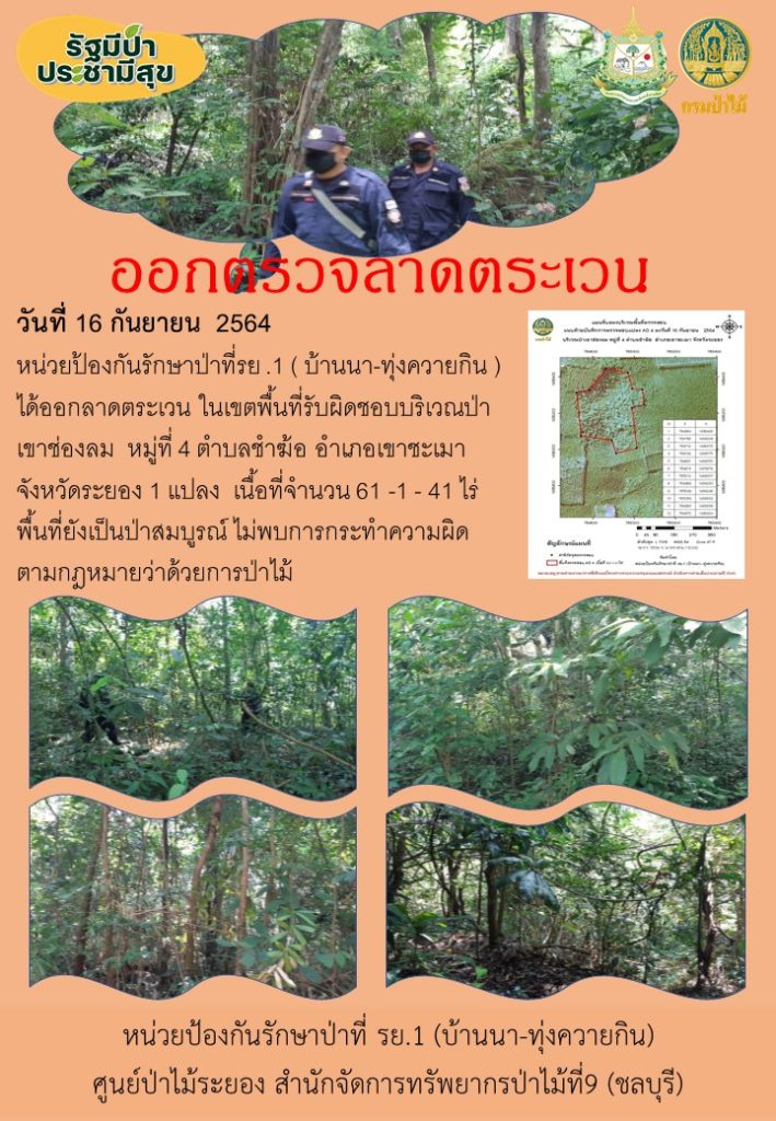 วัที่ 16 กันยายน 2564 หน่วยป้องกันรักษาป่าที่ รย.1 (บ้านนา-ทุ่งควายกิน) ได้ออกลาดตระเวนในเขตพื้นที่รับผิดชอบ บริเวณป่าเขาช่องลม หมู่ที่ 4 ตำบลชำฆ้อ อำเภอเขาชะเมา จังหวัดระยอง จำนวน 1 แปลง เนื้อที่ 61-1-41 ไร่ พื้นที่ยังคงสภาพเป็นป่าสมบูรณ์ ไม่พบการกระทำความผิดตามกฎหมายว่าด้วยการป่าไม้