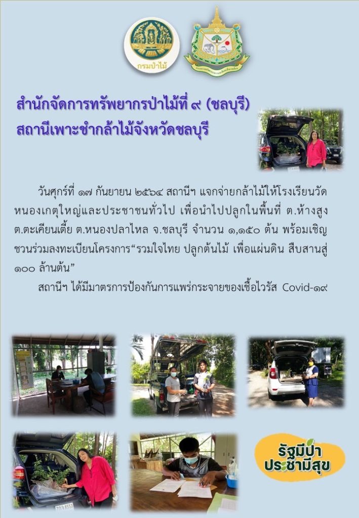 วันที่ 17 กันยายน 2564 สถานีเพาะชำกล้าไม้จังหวัดชลบุรี แจกจ่ายกล้าไม้ให้โรงเรียนวัดหนองเกตุใหญ่ และประชาชนทั่วไป เพื่อนำไปปลูกในพื้นที่ ตำบลห้างสูง ตำบลตะเคียนเตี้ย และตำบลหนองปลาไหล จังหวัดชลบุรี จำนวน 1,150 ต้น พร้อมทั้งได้เชิญชวนให้ลงทะเบียนโครงการ "รวมใจไทย ปลูกต้นไม้ เพื่อแผ่นดิน" สืบสานสู่ 100 ล้านต้น