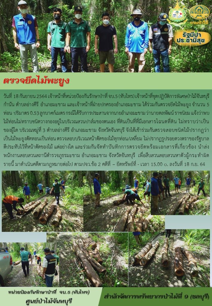 วันที่ 18 กันยายน 2564 เจ้าหน้าที่หน่วยป้องกันรักษาป่าที่ จบ.5 (ทับไทร) เจ้าหน้าที่ชุดปฏิบัติการพิเศษป่าไม้จันทบุรี กำนัน ตำบลอ่างคีรี อำเภอมะขาม และเจ้าหน้าที่ฝ่ายปกครองอำเภอมะขาม ได้ร่วมกันตรวจยึดไม้พะยูง จำนวน 5 ท่อน ปริมาตร 0.53 ลูกบาศก์เมตร กรณีได้รับการประสานจากนายอำเภอมะขามว่านายดลพัฒน์ ราชนิยม แจ้งว่าพบไม้ท่อนไม่ทราบชนิดกองอยู่ในบริเวณสวนปาล์มของตนเอง ที่ดินเป็นที่ที่มีเอกสารโฉนดที่ดิน ไมทราบว่าเป็นของผู้ใด บริเวณหมู่ที่ 3 ตำบลอ่างคีรี อำเภอมะขาม จังหวัดจันทบุรี จึงได้เข้าร่วมกันตรวจสอบชนิดไม้ปรากฏว่าเป็นไม้พะยูง ตัดทอนเป็นท่อน ตรวจสอบบริเวณหน้าตัดของไม้ทุกท่อน/เหลี่ยม ไม่ปรากฏรอดวงตราของรัฐบาลตีประทับไว้ที่หน้าตัดของไม้แต่อย่างใด และร่วมกันจัดทำบันทึกการตรวจยึดพร้อมเอกสารที่เกี่ยวข้อง นำส่งพนักงานสอบสวนสถานีตำรวจภูธร อำเภอมะขาม จังหวัดจันทบุรี เพื่อสืบสวนสอบสวนหาตัวผู้กระทำผิดรายนี้ มาดำเนินคดีตามกฎหมายต่อไป ตาม ปจว.ข้อ 2 คดีที่ - ยึดทรัพย์ที่ - เวลา 15.00 น. ลงวันที่ 18 กันยายน 2564
