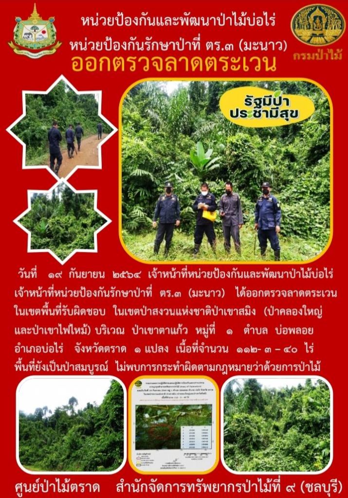 วันที่ 19 กันยายน 2564 เจ้าหน้าที่หน่วยป้องกันและพัฒนาป่าไม้บ่อไร่ เจ้าหน้าที่หน่วยป้องกันรักษาป่าที่ ตร.3 (มะนาว) ได้ออกตรวจลาดตระเวนในเขตพื้นที่รับผิดชอบ ในเขตป่าสงวนแห่งชาติป่าเขาสมิง (ป่าคลองใหญ่และป่าเขาไฟไหม้) บริเวณป่าเขาตาแก้ว หมู่ที่ 1 ตำบลบ่อพลอย อำเภอบ่อไร่ ังหวัดตราด จำนวน 1 แปลง เนื้อที่ 112-3-40 ไร่ พื้นที่ยังคงสภาพเป็นป่าสมบูรณ์ ไม่พบการกระทำความผิดตามกฎหมายว่าด้วยการป่าไม้