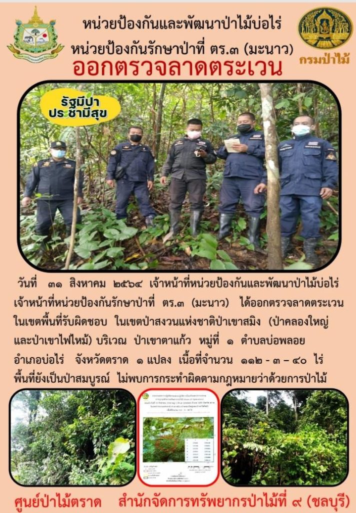 วันที่ 31 สิงหาคม 2564 เจ้าหน้าที่หน่วยป้องกันและพัฒนาป่าไม้บ่อไร่ เจ้าหน้าที่หน่วยป้องกันรักษาป่าที่ ตร.3 (มะนาว) ได้ออกตรวจลาดตระเวนในเขตพื้นที่รับผิดชอบ ในเขตป่าสงวนแห่งชาติป่าเขาสมิง (ป่าคลองใหญ่และป่าเขาไฟไหม้) บริเวณป่าเขาตาแก้ว หมู่ที่ 1 ตำบลบ่อพลอย อำเภอบ่อไร่ จังหวัดตราด จำนวน 1 แปลง เนื้อที่ 112-3-40 ไร่ พื้นที่ป่ายังคงสภาพเป็นป่าสมบูรณ์ ไม่พบการกระทำความผิดตามกฎหมายว่าด้วยการป่าไม้