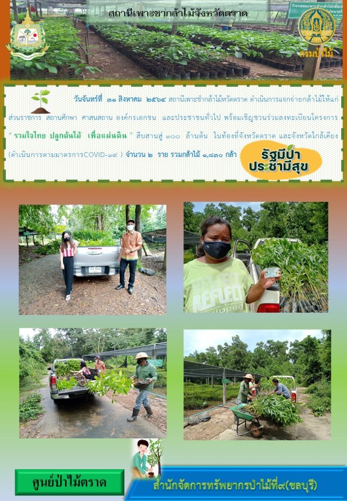 วันที่ 31 สิงหาคม 2564 สถานีเพาะชำกล้าไม้จังหวัดตราด ดำเนินการแจกจ่ายกล้าไม้ให้แก่ส่วนราชการ สถานศึกษา ศาสนสถาน องค์กรเอกชน และประชาชนทั่วไป พร้อมเชิญชวนร่วมลงทะเบียนโครงการ "รวมใจไทย ปลูกต้นไม้เพื่อแผ่นดิน" สืบสานสู่ 100 ล้านต้น ในท้องที่จังหวัดตราด และจังหวัดใกล้เคียง จำนวน 2 ราย รวม 1,830 กล้า