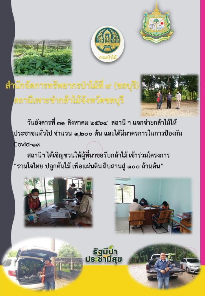 วันที่ 31 สิงหาคม 2564 สถานีเพาะชำกล้าไม้จังหวัดชลบุรี แจกจ่ายกล้าไม้ให้ประชาชนทั่วไป จำนวน 3,200 ต้น พร้อมทั้งเชิญชวนผู้ที่มารับกล้าไม้ร่วมลงทะเบียนโครงการ "รวมใจไทย ปลูกต้นไม้เพื่อแผ่นดิน" สืบสานสู่ 100 ล้านต้น