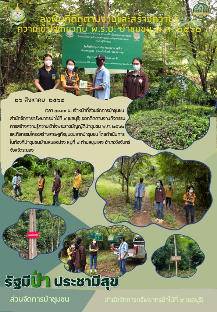 วันที่ 26 สิงหาคม 2564 เวลา 10.00 น. เจ้าหน้าที่ส่วนจัดการป่าชุมชน สำนักจัดการทรัพยากรป่าไม้ 9 (ชลบุรี) ออกติดตามงานกิจกรรมการสร้างความรู้ความเข้าใจพระราชบัญญัติป่าชุมชน พ.ศ. 2562 และกิจกรรมโครงสร้างเศรษฐกิจชุมชนจากป่าชุมชน โดยดำเนินการในท้องที่ป่าชุมชนบ้านหนองม่วง หมู่ที่ 4 ตำบลชุมแสง อำเภอวังจันทร์ จังหวัดระยอง