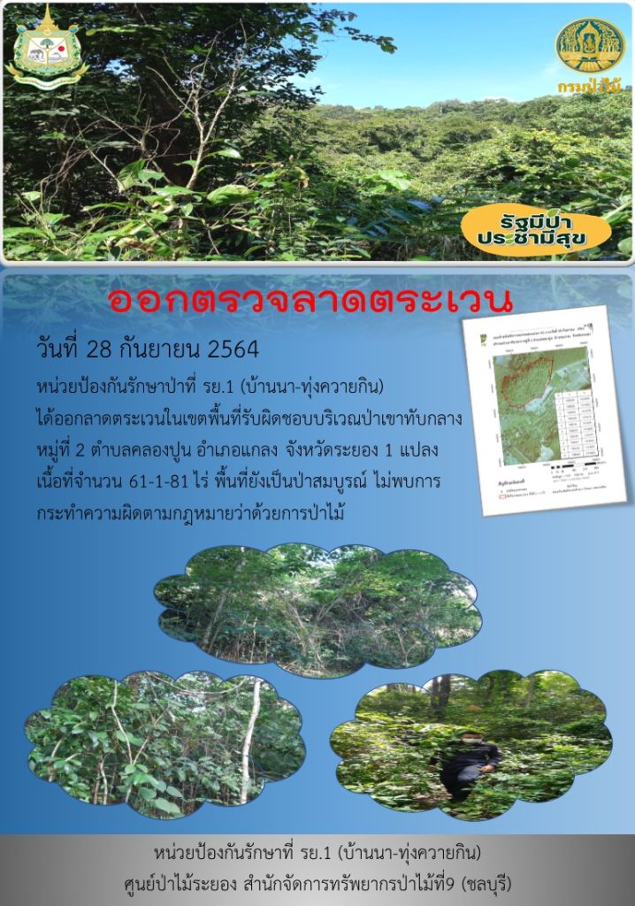 วันที่ 28 กันยายน 2564 หน่วยป้องกันรักษาป่าที่ รย.1 (บ้านนา-ทุ่งควายกิน) ได้ออกลาดตระเวนในเขตพื้นที่รับผิดชอบบริเวณป่าเขาทับกลาง หมู่ที่ 2 ตำบลคลองปูน อำเภอแกลง จังหวัดระยอง จำนวน 1 แปลง เนื้อที่ 61-1-81 ไร่ พื้นที่ยังคงสภาพเป็นป่าสมบูรณ์ ไม่พบการกระทำความผิดตามกฎหมายว่าด้วยการป่าไม้