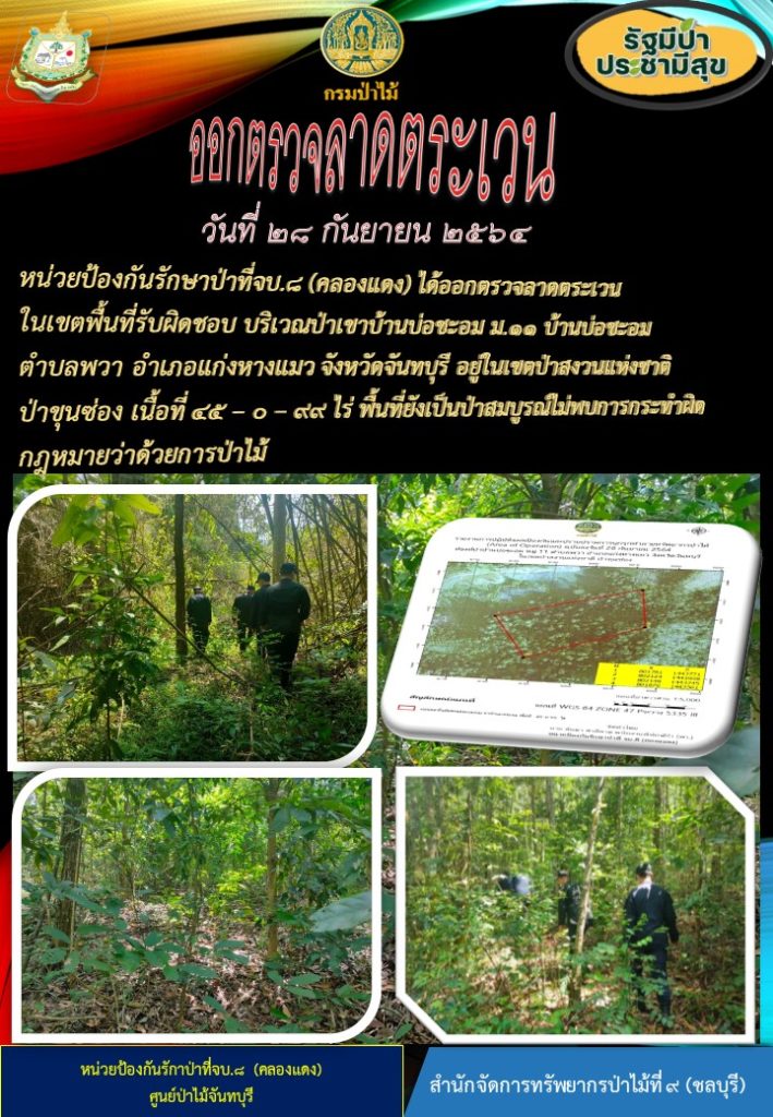 วันที่ 28 กันยายน 2564 หน่วยป้องกันรักษาป่าที่ จบ8. (คลองแดง) ได้ออกลาดตระเวนในเขตพื้นที่รับผิดชอบ บริเวณป่าเขาบ้านบ่อชะอม หมู่ที่ 11 บ้านบ่อเขาชะอม ตำบลพวา อำเภอแก่งหางแมว จังหวัดจันทบุรี อยู่ในเขตป่าสงวนแห่งชติป่าขุนซ่อง เนื้อที่ 45-0-99 ไร่ พื้นที่ยังคงสภาพเป็นป่าสมบูรณ์ ไม่พบการกระทำความผิดตามกฎหมายว่าด้วยการป่าไม้