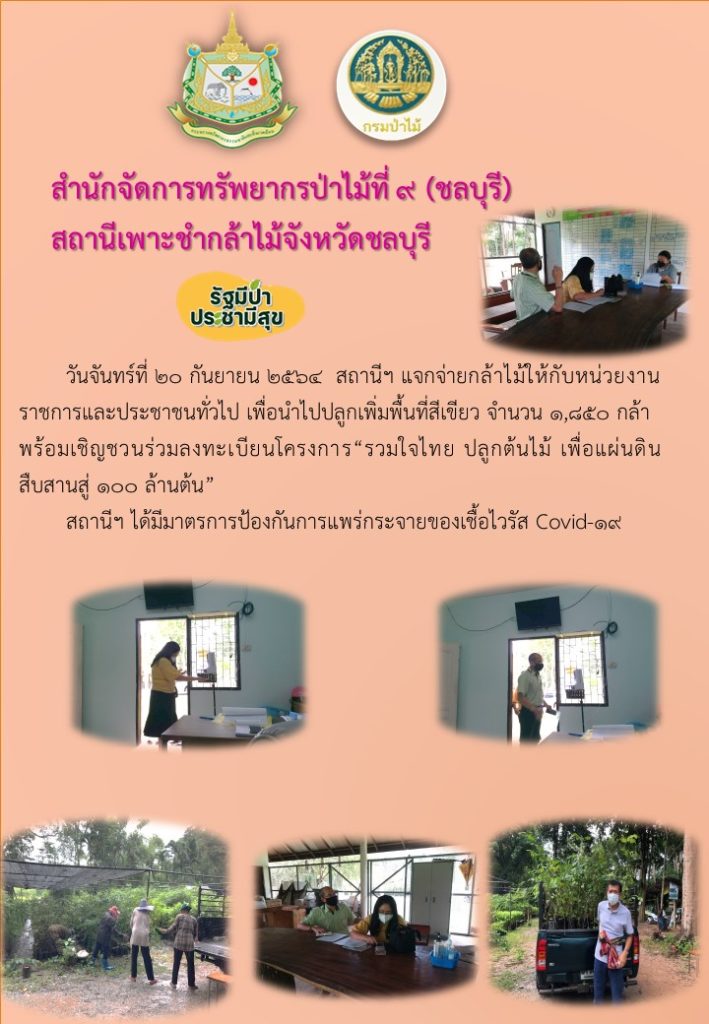 วันที่ 20 กันยายน 2564 สถานีเพาะชำกล้าไม้จังหวัดชลบุรี ได้แจกกล้าไม้ให้กับประชาชนทั่วไป เพื่อนำไปปลูกเพื่อเพิ่มพื้นที่สีเขียว จำนวน 1,850 กล้า พร้อมทั้งได้เชิญชวนให้ลงทะเบียนโครงการ "รวมใจไทย ปลูกต้นไม้ เพื่อแผ่นดิน" สืบสานสู่ 100 ล้านต้น