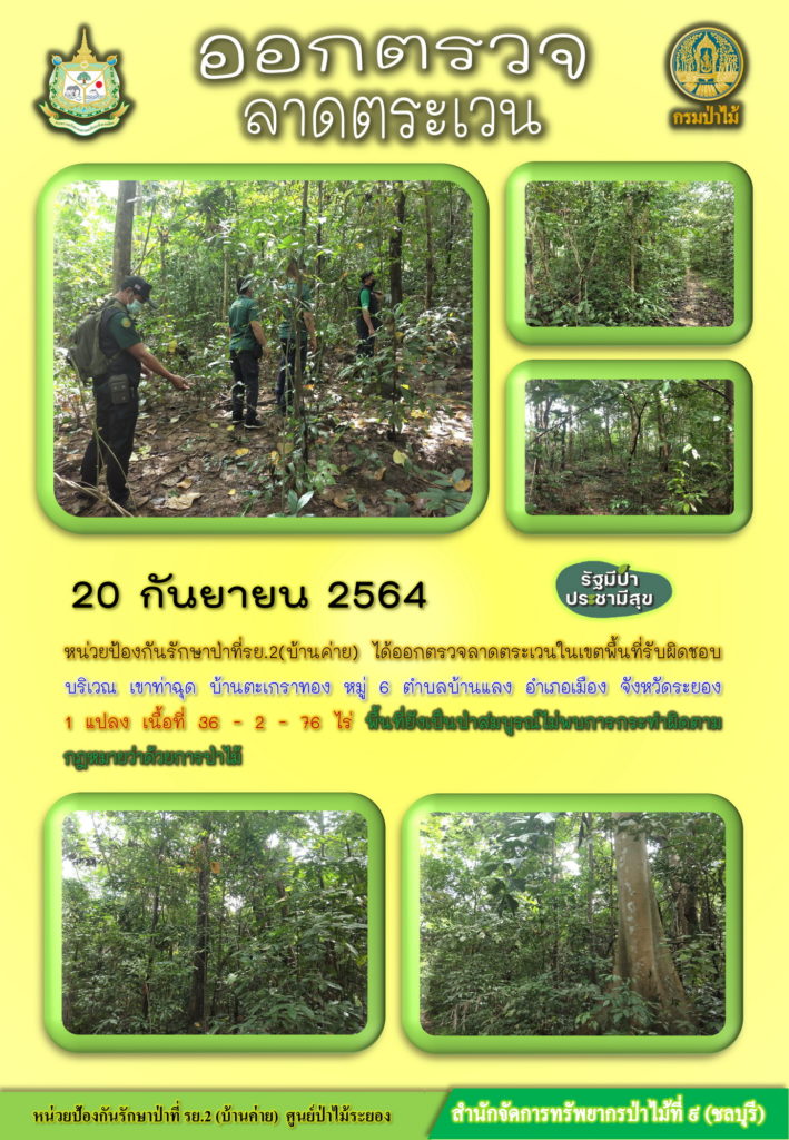 วันที่ 20 กันยายน 2564 หน่วยป้องกันรักษาป่าที่ รย.2 (บ้านค่าย) ได้ออกตรวจลาดตระเวนในเขตพื้นที่รับผิดชอบ บริเวณเขาท่าฉุด บ้านตะเกราทอง หมู่ที่ 6 ตำบลบ้านแลง อำเภอเมือง จังหวัดระยอง จำนวน 1 แปลง เนื้อที่ 36-2-76 ไร่ พื้นที่ยังคงสภาพเป็นป่าสมบูรณ์ ไม่พบการกระทำความผิดตามกฎหมายว่าด้วยการป่าไม้