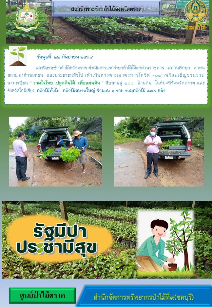 วันที่ 22 กันยายน 2564 สถานีเพาะชำกล้าไม้จังหวัดตราด ดำเนินการแจกจ่ายกล้าไม้ให้แก่ส่วนราชการ สถานศึกษา ศาสนสถาน องค์กรเอกชน และประชาชนทั่วไป พร้อมเชิญชวนร่วมลงทะเบียนโครงการ "รวมใจไทย ปลูกต้นไม้เพื่อแผ่นดิน" สืบสานสู่ 100 ล้านต้น ในท้องที่จังหวัดตราด และจังหวัดใกล้เคียง กล้าไม้ทั่วไป กล้าไม้ขนาดใหญ่ จำนวน 1 ราย รวมกล้าไม้ 130 กล้า
