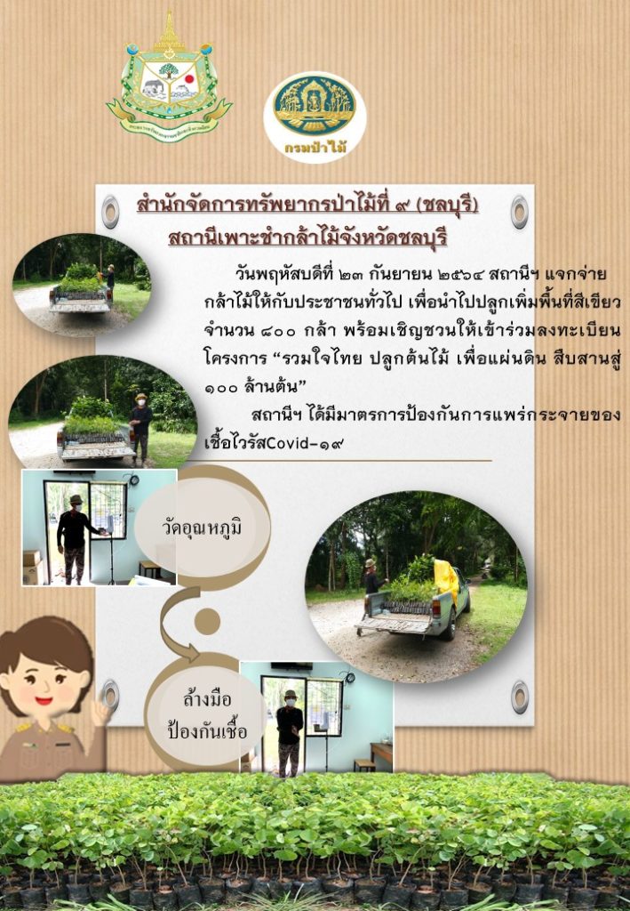 วันที่ 23 กันยายน 2564 สถานีเพาะชำกล้าไม้จังหวัดชลบุรี ได้แจกกล้าไม้ให้กับประชาชนทั่วไป เพื่อนำไปปลูกเพื่อเพิ่มพื้นที่สีเขียว จำนวน 800 กล้า พร้อมทั้งได้เชิญชวนให้ลงทะเบียนโครงการ "รวมใจไทย ปลูกต้นไม้ เพื่อแผ่นดิน" สืบสานสู่ 100 ล้านต้น