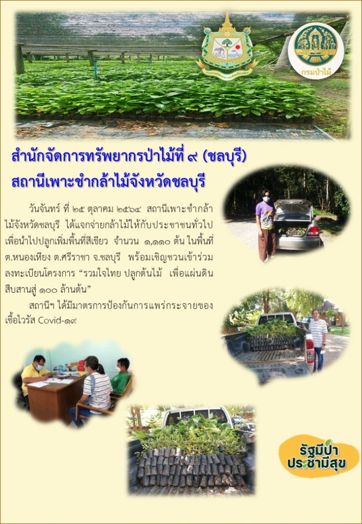 วันที่ 25 ตุลาคม 2564 สถานีเพาะชำกล้าไม้จังหวัดชลบุรี ได้แจกจ่ายกล้าไม้ให้กับประชาชนทั่วไป เพื่อนำไปปลูกเพิ่มพื้นที่สีเขียว จำนวน 1,110 ต้น ในพื้นที่ตำบลหนองเหียง ตำบลศรีราชา จังหวัดชลบุรี พร้อมเชิญชวนเข้าร่วมลงทะเบียนโครงการ "รวมใจไทยปลูกต้นไม้เพื่อแผ่นดิน" สืบสานสู่ 100 ล้านต้น ทั้งนี้สถานีฯ ได้มีมาตรการป้องกันการแพร่กระจายของเชื้อไวรัส (Covid-19)