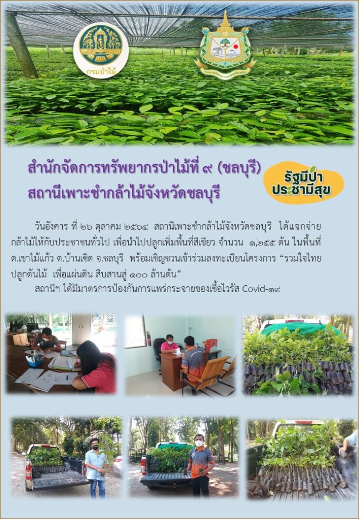 วันที่ 26 ตุลาคม 2564 สถานีเพาะชำกล้าไม้จังหวัดชลบุรี ได้แจกจ่ายกล้าไม้ให้กับประชาชนทั่วไป เพื่อนำไปปลูกเพิ่มพื้นที่สีเขียว จำนวน 1,255 ต้น ในพื้นที่ตำบลเขาไม้แก้ว ตำบลบ้านเชิด จังหวัดชลบุรี พร้อมเชิญชวนเข้าร่วมลงทะเบียนโครงการ "รวมใจไทยปลูกต้นไม้เพื่อแผ่นดิน" สืบสานสู่ 100 ล้านต้น ทั้งนี้สถานีฯ ได้มีมาตรการป้องกันการแพร่กระจายของเชื้อไวรัส (Covid-19)