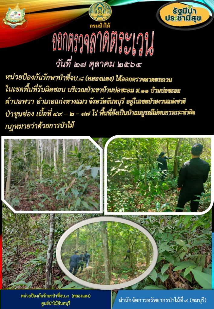 วันที่ 27 ตุลาคม 2564 หน่วยป้องกันรักษาป่าที่ จบ.2 (เขาปอ) ได้ออกตรวจลาดตระเวนในเขตพื้นที่รับผิดชอบ บริเวณป่าเขาบ้านบ่อชะอม หมู่ที่ 11 บ้านบ่อชะอม ตำบลพวา อำเภอแก่งหางแมว จังหวัดจันทบุรี อยู่ในเขตป่าสงวนแห่งชาติป่าขุนซ่อง เนื้อที่ 49-2-97 ไร่ พื้นที่ยังเป็นป่าสมบูรณ์ ไม่พบการกระทำผิดกฎหมายว่าด้วยการป่าไม้