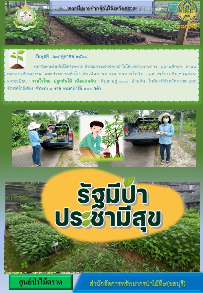 วันที่ 27 ตุลาคม 2564 สถานีเพาะชำกล้าไม้จังหวัดตราด ดำเนินการแจกจ่ายกล้าไม้ให้แก่ส่วนราชการ สถานศึกษา ศาสนสถาน องค์กรเอกชน และประชาชนทั่วไป พร้อมเชิญชวนร่วมลงทะเบียนโครงการ "รวมใจไทย ปลูกต้นไม้เพื่อแผ่นดิน" สืบสานสู่ 100 ล้านต้น ในท้องที่จังหวัดตราด และจังหวัดใกล้เคียง กล้าไม้ทั่วไป กล้าไม้ขนาดใหญ่ จำนวน 1 ราย รวมกล้าไม้ 100 กล้า (พร้อมทั้งดำเนินการตามมาตรการป้องกันโควิด 19)