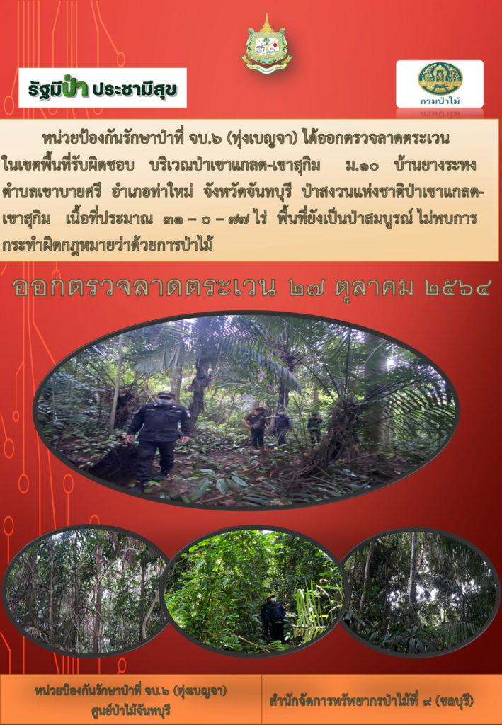 วันที่ 2 ตุลาคม 2564 หน่วยป้องกันรักษาป่าที่ จบ.6 (ทุ่งเบญจา) ได้ออกตรวจลาดตระเวนในเขตพื้นที่รับผิดชอบ บริเวณป่าเขาแกลด-เขาสุกิม หมู่ที่ 10 บ้านยางระหง ตำบลเขาบายศรี อำเภอท่าใหม่ จังหวัดจันทบุรี ป่าสงวนแห่งชาติป่าเขาแกลด-เขาสุกิม เนื้อที่ 31-0-77 ไร่ พื้นที่ยังเป็นป่าสมบูรณ์ ไม่พบการกระทำผิดกฎหมายว่าด้วยการป่าไม้