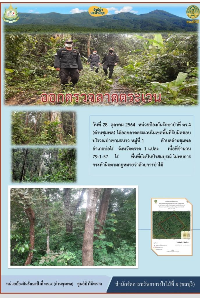 วันที่ 28 ตุลาคม 2564 หน่วยป้องกันรักษาป่าที่ ตร.4 (ด่านชุมพล) ได้ออกลาดตระเวนในเขตพื้นที่รับผิดชอบ บริเวณป่าเขามะนาว หมู่ที่ 1 ตำบลด่านชุมพล อำเภอบ่อไร่ จังหวัดตราด จำนวน 1 แปลง เนื้อที่ 79-1-57 ไร่ พื้นที่ยังเป็นป่าสมบูรณ์ ไม่พบการกระทำผิดกฎหมายว่าด้วยการป่าไม้