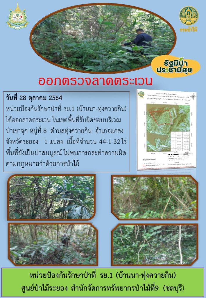 วันที่ 28 ตุลาคม 2564 หน่วยป้องกันรักษาป่าที่ รย.1 (บ้านนา-ทุ่งควายกิน) ได้ออกลาดตระเวนในเขตพื้นที่รับผิดชอบ บริเวณป่าเขาจุก หมู่ที่ 8 ตำบลทุ่งควายกิน อำเภอแกลง จังหวัดระยอง จำนวน 1 แปลง เนื้อที่ 44-1-32 ไร่ พื้นที่ยังเป็นป่าสมบูรณ์ ไม่พบการกระทำความผิดกฎหมายว่าด้วยการป่าไม้