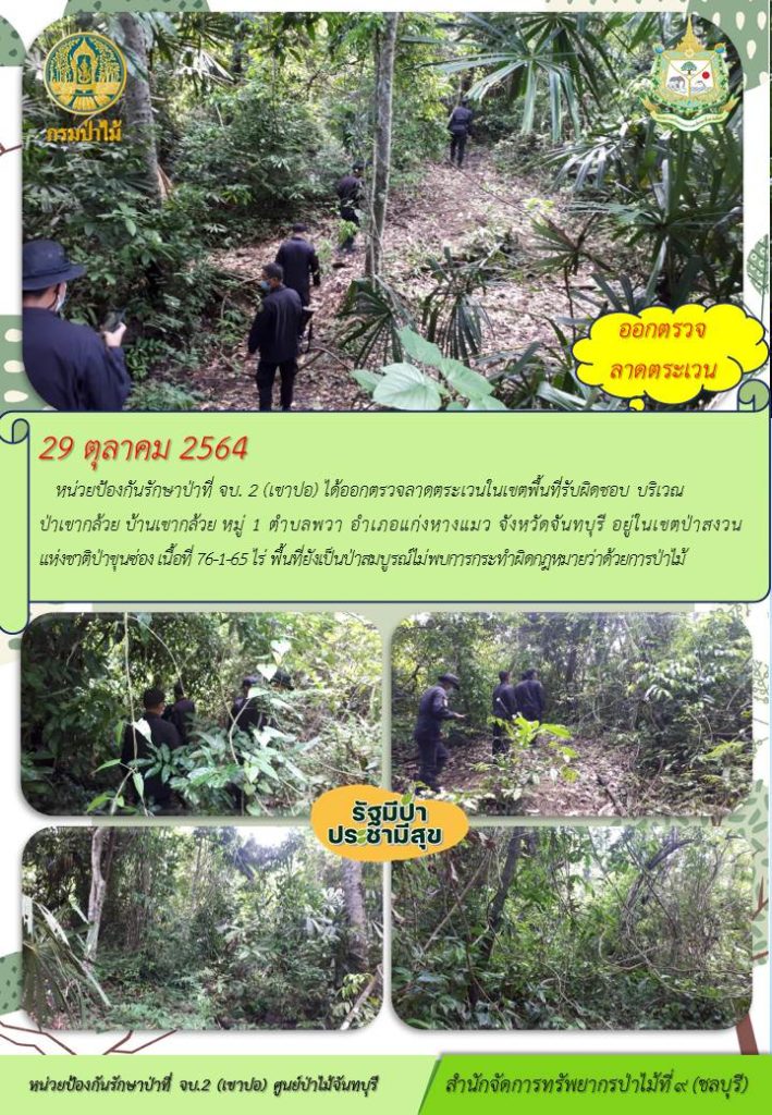 วันที่ 29 ตุลาคม 2564 หน่วยป้องกันรักษาป่าที่ จบ.2 (เขาปอ) ได้ออกตรวจลาดตระเวนในเขตพื้นที่รับผิดชอบ บริเวณป่าเขากล้วย หมู่ที่ 1 ตำบลพวา อำเภอแก่งหางแมว จังหวัดจันทบุรี อยู่ในเขตป่าสงวนแห่งชาติป่าขุนซ่อง เนื้อที่ 76-1-65 ไร่ พื้นที่ยังเป็นป่าสมบูรณ์ ไม่พบการกระทำผิดกฎหมายว่าด้วยการป่าไม้