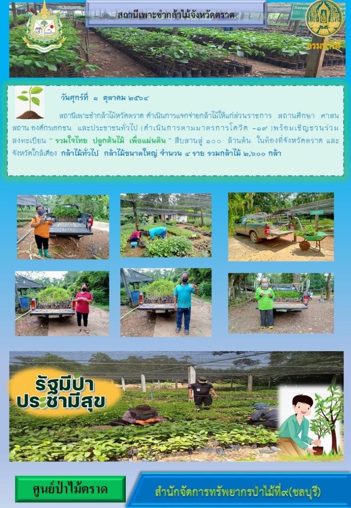 วันที่ 1 ตุลาคม 2564 สถานีเพาะชำกล้าไม้จังหวัดตราด ดำเนินการแจกจ่ายกล้าไม้ให้แก่ส่วนราชการ สถานศึกษา ศาสนสถาน องค์กรเอกชน และประชาชนทั่วไป พร้อมเชิญชวนร่วมลงทะเบียนโครงการ "รวมใจไทย ปลูกต้นไม้เพื่อแผ่นดิน" สืบสานสู่ 100 ล้านต้น ในท้องที่จังหวัดตราด และจังหวัดใกล้เคียง กล้าไม้ทั่วไป กล้าไม้ขนาดใหญ่ จำนวน 4 ราย รวมกล้าไม้ 2,600 กล้า (พร้อมดำเนินการตามมาตรการป้องกันโควิด 19)