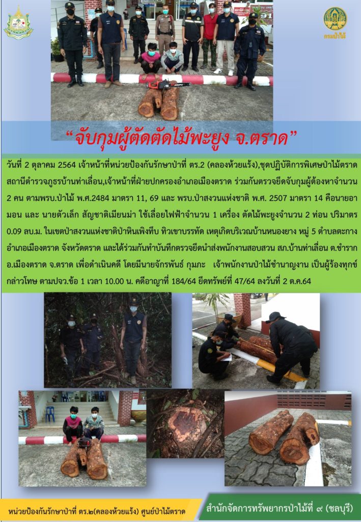 วันที่ 2 ตำลาคม 2564 เจ้าหน้าที่หน่วยป้องกันรักษาป่าที่ ตร.2 (คลองห้วยแร้ง) ชุดปฏัติการพิเศษป่าไม้ตราด สถานีตำรวจภูธรบ้านท่าเลื่อน เจ้าหน้าที่ฝ่ายปกครองอำเภอเมืองตราด ร่วมกันตรวจยึดจับกุมผู้ต้องหาจำนวย 2 คน ตาม พรบ.ป่าไม้ พ.ศ. 2484 มาตรา 11, 69 และ พรบ.ป่าสงวนแห่งชาติ พ.ศ. 2507 มาตรา 14 คือ นายอามอน และนายตัวเล็ก สัญชาติเมียนม่า ใช้เลื่อยไฟฟ้าจำนวน 1 เครื่อง ตัดไม้พะยูง จำนวน 2 ท่อน ปริมาตร 0.09 ลบ.ม. ในเขตป่าสงวนแห่งชาติป่าหินเพิงทึบ ทิวเขาบรรทัด เหตุเกิดบริเวณบ้านหนองยาง หมู่ที่ 5 ตำบลตะกาง อำเภอเมืองตราด จังหวัดตราด และได้ร่วมกันทำบันทึกตรวจยึดนำส่งพนักงานสอบสวน สภ.บ้านท่าเลื่อน ตำบลชำราก อำเภอเมืองตราด จังหวัดตราด เพื่อดำเนินคดี โดยมีนายจักรพันธ์ กุมภะ เจ้าพนักงานป่าไม้ชำนาญงาน เป็นผู้ร้องทุกข์กล่าวโทษ ตาม ปจว.ข้อ 1 เวลา 10.00 น. คดีอาญาที่ 184/2564 ยึดทรัพย์ที่ 47/64 ลงวันที่ 2 ตุลาคม 2564