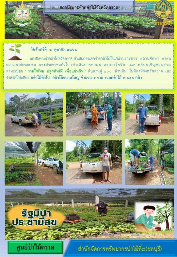 วันที่ 4 ตุลาคม 2564 สถานีเพาะชำกล้าไม้จังหวัดตราด ดำเนินการแจกจ่ายกล้าไม้ให้แก่ส่วนราชการ สถานศึกษา ศาสนสถาน องค์กรเอกชน และประชาชนทั่วไป พร้อมเชิญชวนร่วมลงทะเบียนโครงการ "รวมใจไทย ปลูกต้นไม้เพื่อแผ่นดิน" สืบสานสู่ 100 ล้านต้น ในท้องที่จังหวัดตราด และจังหวัดใกล้เคียง กล้าไม้ทั่วไป กล้าไม้ขนาดใหญ่ จำนวน 4 ราย รวมกล้าไม้ 3,010 กล้า (พร้อมดำเนินการตามมาตรการป้องกันโควิด 19)