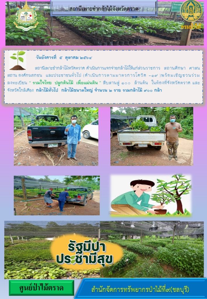 วันที่ 5 ตุลาคม 2564 สถานีเพาะชำกล้าไม้จังหวัดตราด ดำเนินการแจกจ่ายกล้าไม้ให้แก่ส่วนราชการ สถานศึกษา ศาสนสถาน องค์กรเอกชน และประชาชนทั่วไป พร้อมเชิญชวนร่วมลงทะเบียนโครงการ "รวมใจไทย ปลูกต้นไม้เพื่อแผ่นดิน" สืบสานสู่ 100 ล้านต้น ในท้องที่จังหวัดตราด และจังหวัดใกล้เคียง กล้าไม้ทั่วไป กล้าไม้ขนาดใหญ่ จำนวน 2 ราย รวมกล้าไม้ 900 กล้า (พร้อมดำเนินการตามมาตรการป้องกันโควิด 19)