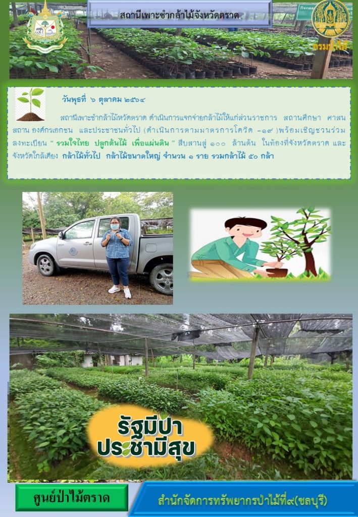 วันที่ 6 ตุลาคม 2564 สถานีเพาะชำกล้าไม้จังหวัดตราด ดำเนินการแจกจ่ายกล้าไม้ให้แก่ส่วนราชการ สถานศึกษา ศาสนสถาน องค์กรเอกชน และประชาชนทั่วไป พร้อมเชิญชวนร่วมลงทะเบียนโครงการ "รวมใจไทย ปลูกต้นไม้เพื่อแผ่นดิน" สืบสานสู่ 100 ล้านต้น ในท้องที่จังหวัดตราด และจังหวัดใกล้เคียง กล้าไม้ทั่วไป กล้าไม้ขนาดใหญ่ จำนวน 1 ราย รวมกล้าไม้ 50 กล้า (พร้อมทั้งดำเนินการตามมาตรการป้องกันโควิด 19)