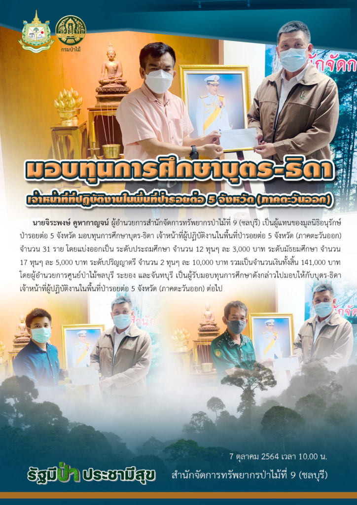 วันที่ 7 ตุลาคม 2564 เวลา 10.00 น. นายจิระพงษ์ คูหากาญจน์ ผู้อำนวยการสำนักจัดการทรัพยากรป่าไม้ที่ 9 (ชลบุรี) เป็นผู้แทนของมูลนิธิอนุรักษ์ป่ารอยต่อ 5 จังหวัด มอบทุนการศึกษาบุตร-ธิดา เจ้าหน้าที่ผู้ปฏิบัติงานในพื้นที่ป่ารอยต่อ 5 จังหวัด (ภาคตะวันออก) จำนวน 31 ราย โดยแบ่งออกเป็น ระดับประถมศึกษา จำนวน 12 ทุนๆ ละ 3,000 บาท ระดับมัธยมศึกษา จำนวน 17 ทุนๆ ละ 5,000 บาท ระดับปริญญาตรี จำนวน 2 ทุนๆ ละ 10,000 บาท รวมเป็นจำนวนเงินทั้งสิ้น 141,000 บาท โดยผู้อำนวยการศูนย์ป่าไม้ชลบุรี ระยอง และจันทบุรี เป็นผู้รับมอบทุนการศึกษาดังกล่าวไปมอบให้กับบุตร-ธิดา เจ้าหน้าที่ผู้ปฏิบัติงานในพื้นที่ป่ารอยต่อ 5 จังหวัด (ภาคตะวันออก) ต่อไป
