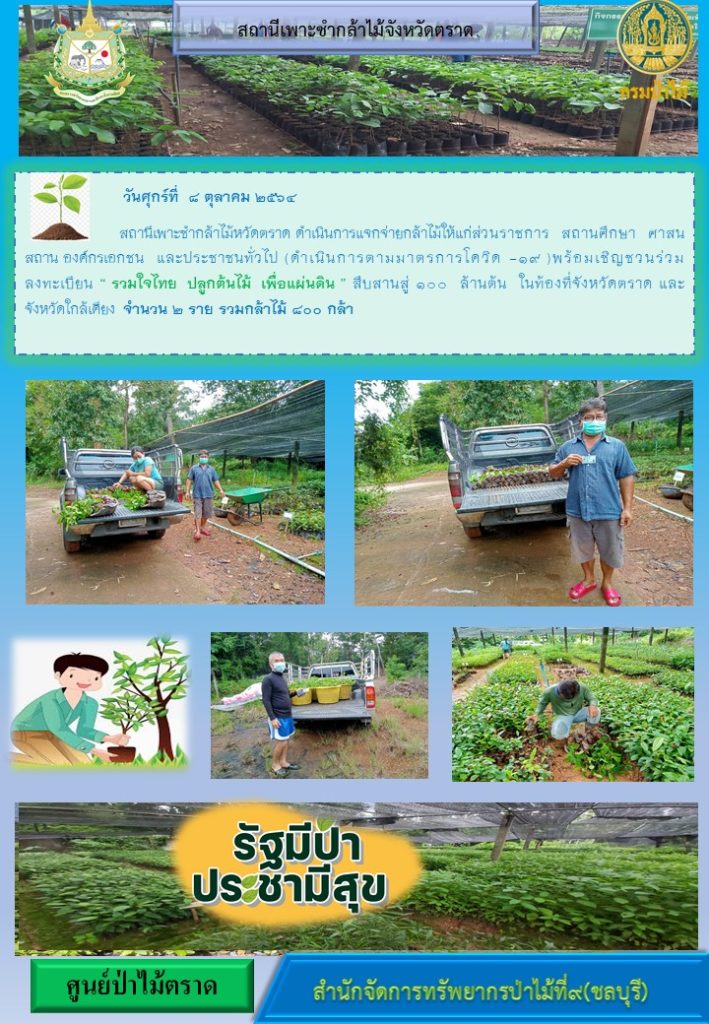 วันที่ 8 ตุลาคม 2564 สถานีเพาะชำกล้าไม้จังหวัดตราด ดำเนินการแจกจ่ายกล้าไม้ให้แก่ส่วนราชการ สถานศึกษา ศาสนสถาน องค์กรเอกชน และประชาชนทั่วไป พร้อมเชิญชวนร่วมลงทะเบียนโครงการ "รวมใจไทย ปลูกต้นไม้เพื่อแผ่นดิน" สืบสานสู่ 100 ล้านต้น ในท้องที่จังหวัดตราด และจังหวัดใกล้เคียง กล้าไม้ทั่วไป กล้าไม้ขนาดใหญ่ จำนวน 2 ราย รวมกล้าไม้ 800 กล้า (พร้อมทั้งดำเนินการตามมาตรการป้องกันโควิด 19)