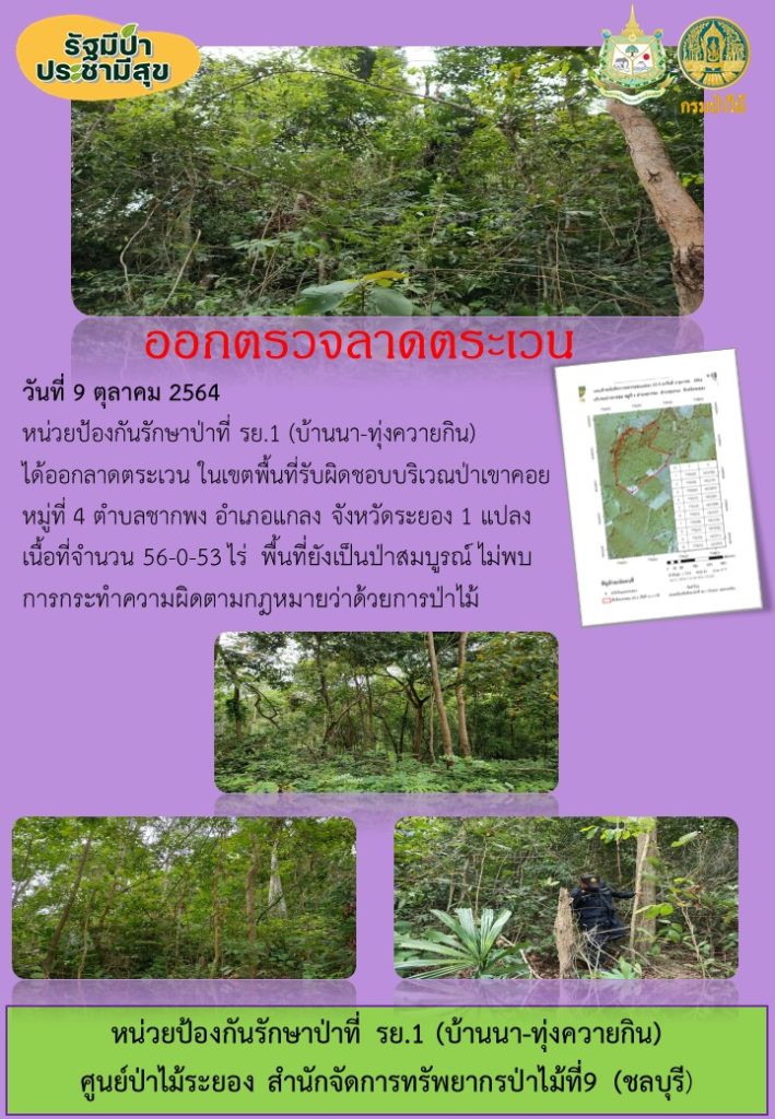 วันที่ 9 ตุลาคม 2564 หน่วยป้องกันรักษาป่าที่ รย.1 (บ้านนา-ทุ่งควายกิน) ได้ออกลาดตระเวน ในเขตพื้นที่รับผิดชอบบริเวณป่าเจาคอย หมู่ที่ 4 ตำบลชากพง อำเภอแกลง จังหวัดระยอง จำนวน 1 แปลง เนื้อที่ 56-0-53 ไร่ พื้นที่ป่ายังคงสภาพเป็นป่าสมบูรณ์ ไม่พบการกระทำความผิดกฎหมายว่าด้วยการป่าไม้