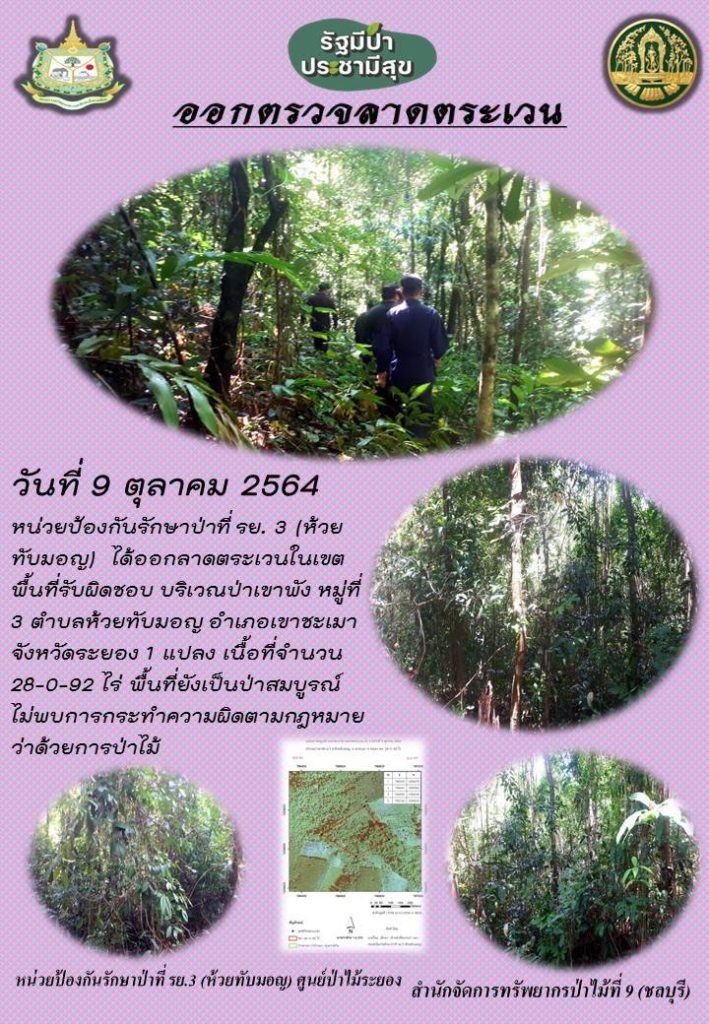 วันที่ 9 ตุลาคม 2564 หน่วยป้องกันรักษาป่าที่ รย.3 (ห้วยทับมอญ) ได้ออกลาดตระเวนในเขตพื้นที่รับผิดชอบ บริเวณป่าเขาพัง หมู่ที่ 3 ตำบลห้วยทับมอญ อำเภอเขาชะเมา จังหวัดระยอง จำนวน 1 แปลง เนื้อที่ 28-0-92 ไร่ พื้นที่ป่ายังคงสภาพเป็นป่าสมบูรณ์ ไม่พบการกระทำความผิดกฎหมายว่าด้วยการป่าไม้