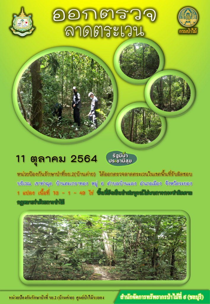 วันที่ 11 ตุลาคม 2564 หน่วยป้องกันรักษาป่าที่ รย.2 (บ้านค่าย) ได้ออกตรวจลาดตระเวนในเขตพื้นที่รับผิดดชอบ บริวเณเขาท่าฉุด บ้านตะเกราทอง หมู่ที่ 6 ตำบลบ้านแลง อำเภอเมือง จังหวัดระยอง จำนวน 1 แปลง เนื้อที่ 73-1-49 ไร่ พื้นที่ป่ายังคงสภาพเป็นป่าสมบูรณ์ ไม่พบการกระทำความผิดกฎหมายว่าด้วยการป่าไม้