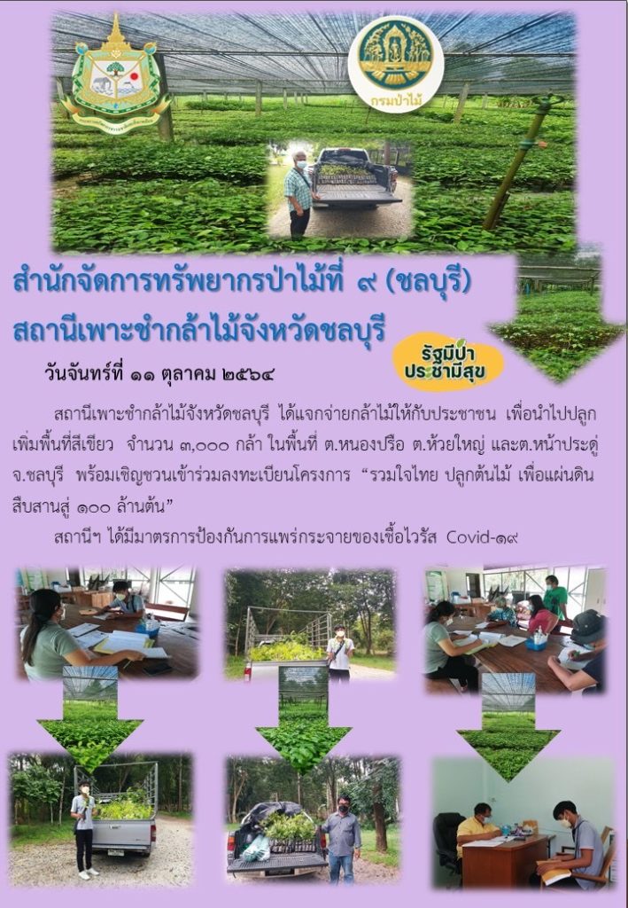 วันที่ 11 ตุลาคม 2564 สถานีเพาะชำกล้าไม้ขจังหวัดชลบุรี ได้แจกจ่ายกล้าไม้ให้กับประชาชน เพื่อนำไปปลูกเพิ่มพื้นที่สีเขียว จำนวน 3,000 กล้า ในพื้นที่ตำบลหนองปรือ ตำบลห้วยใหญ่ และตำบลหน้าประดู่ จังหวัดชลบุรี พร้อมเชิญชวนเข้าร่วมลงทะเบียนโครงการ "รวมใจไทยปลูกต้นไม้เพื่อแผ่นดิน" สืบสานสู่ 100 ล้านต้น ทั้งนี้สถานีฯ ได้มีมาตรการป้องกันการแพร่กระจายของเชื้อไวรัส (Covid-19)