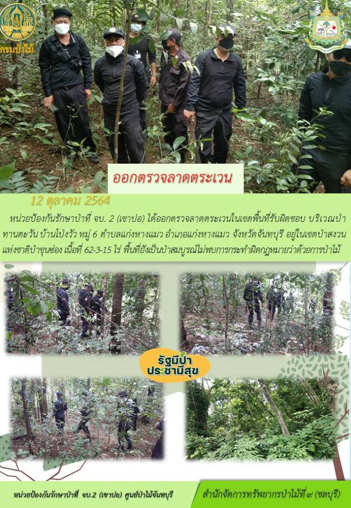 วันที่ 12 ตุลาคม 2564 หน่วยป้องกันรักษาป่าที่ จบ.2 (เขาปอ) ได้ออกตรวจลาดตระเวนในเขตพื้นที่รับผิดชอบ บริเวณป่าทานตะวัน บ้านโป่งวัว หมู่ที่ 6 ตำบลแก่งหางแมว อำเภอแก่งหางแมว จังหวัดจันทบุรี อยู่ในเขตป่าสงวนแห่งชาติป่าขุนซ่อง เนื้อที่ 62-3-15 ไร่ พื้นที่ยังคงสภาพเป็นป่าสมบูรณ์ ไม่พบการกระทำความผิดกฎหมายว่าด้วยการป่าไม้