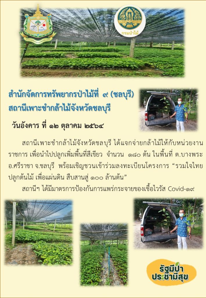 วันที่ 12 ตุลาคม 2564 สถานีเพาะชำกล้าไม้ขจังหวัดชลบุรี ได้แจกจ่ายกล้าไม้ให้กับหน่วยงานราชการ เพื่อนำไปปลูกเพิ่มพื้นที่สีเขียว จำนวน 180 กล้า ในพื้นที่ตำบลบางพระ อำเภอศรีราชา จังหวัดชลบุรี พร้อมเชิญชวนเข้าร่วมลงทะเบียนโครงการ "รวมใจไทยปลูกต้นไม้เพื่อแผ่นดิน" สืบสานสู่ 100 ล้านต้น ทั้งนี้สถานีฯ ได้มีมาตรการป้องกันการแพร่กระจายของเชื้อไวรัส (Covid-19)