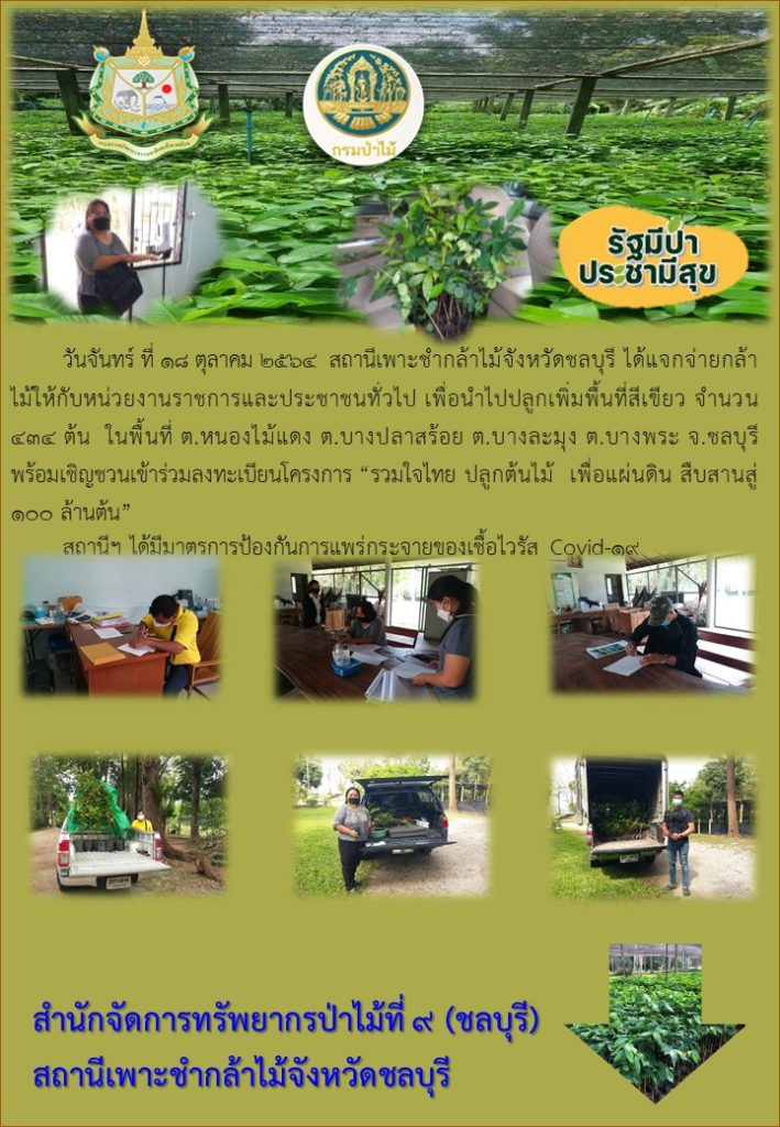 วันที่ 18 ตุลาคม 2564 สถานีเพาะชำกล้าไม้จังหวัดชลบุรี ได้แจกจ่ายกล้าไม้ให้กับหน่วยงานราชการและประชมชาชนทั่วไป เพื่อนำไปปลูกเพิ่มพื้นที่สีเขียว จำนวน 434 ต้น ในพื้นที่ตำบลหนองไม้แดง ตำบลบางทราย ตำบลบางละมุง ตำบลบางพระ จังหวัดชลบุรี พร้อมเชิญชวนเข้าร่วมลงทะเบียนโครงการ "รวมใจไทยปลูกต้นไม้เพื่อแผ่นดิน" สืบสานสู่ 100 ล้านต้น ทั้งนี้สถานีฯ ได้มีมาตรการป้องกันการแพร่กระจายของเชื้อไวรัส (Covid-19)