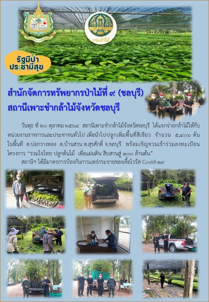 วันที่ 20 ตุลาคม 2564 สถานีเพาะชำกล้าไม้จังหวัดชลบุรี ได้แจกจ่ายกล้าไม้ให้กับหน่วยงานราชการและประชาชนทั่วไป เพื่อนำไปปลูกเพิ่มพื้นที่สีเขียว จำนวน 5,406 ต้น ในพื้นที่ตำบลบ่อกวางทอง ตำบลบ้านสวน ตำบลสุรศักดิ์ จังหวัดชลบุรี พร้อมเชิญชวนเข้าร่วมลงทะเบียนโครงการ "รวมใจไทยปลูกต้นไม้เพื่อแผ่นดิน" สืบสานสู่ 100 ล้านต้น ทั้งนี้สถานีฯ ได้มีมาตรการป้องกันการแพร่กระจายของเชื้อไวรัส (Covid-19)
