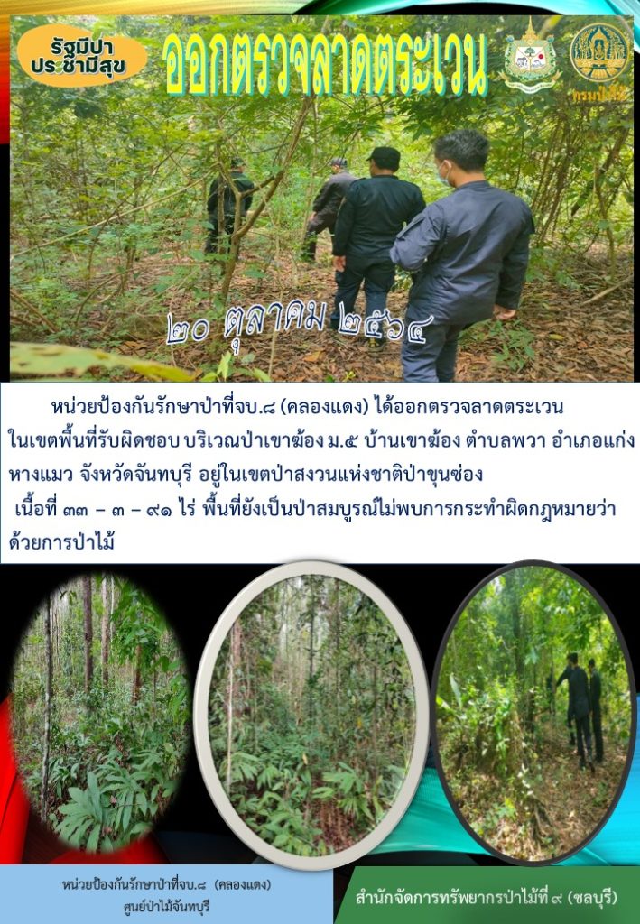 วันที่ 20 ตุลาคม 2564 หน่วยป้องกันรักษาป่าที่ จบ.8 (คลองแดง) ได้ออกตรวจลาดตระเวนในเขตพื้นที่รับผิดชอบ บริเวณป่าเขาฆ้อง หมู่ที่ 5 บ้านเขาฆ้อง ตำบลพวา อำเภอแก่งหางแมว จังหวัดจันทบุรี อยู่ในเขตป่าสงวนแห่งชาติป่าขุนซ่อง เนื้อที่ 33-3-91 ไร่ พื้นที่ยังเป็นป่าสมบูรณ์ ไม่พบการกระทำผิดกฎหมายว่าด้วยการป่าไม้